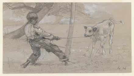 The Unruly Calf